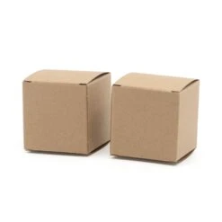 Kubusdoosje Bio Kraft 5x5x5cm (10 Stuks)